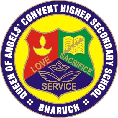 School 5